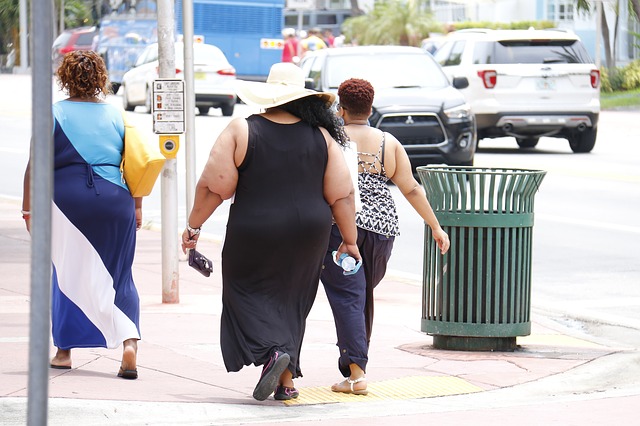 obesity-993126_640