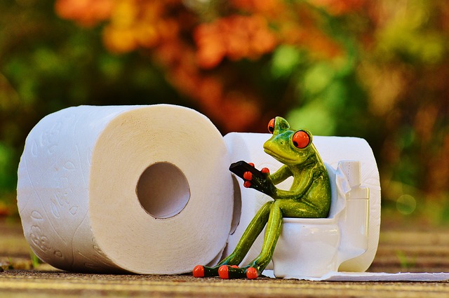 frog-1037247_640